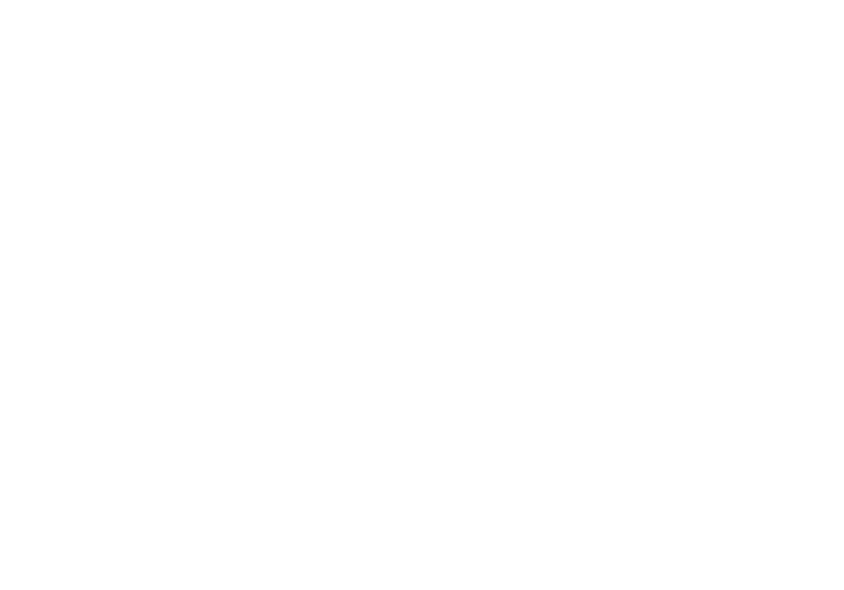 AKADEMİKS